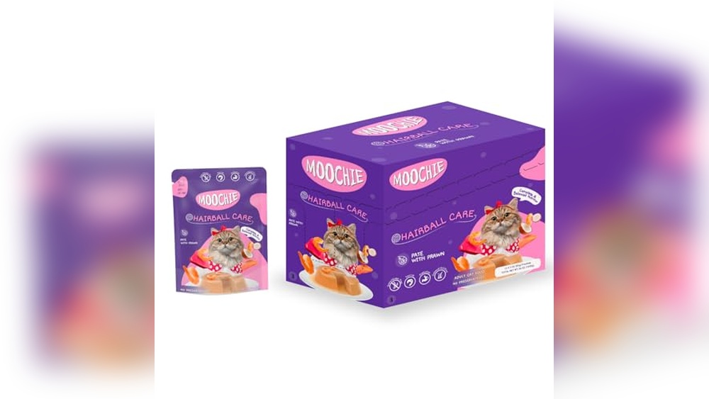 Best Non Prescription Cat Food for Pancreatitis: Top Healthy Choices