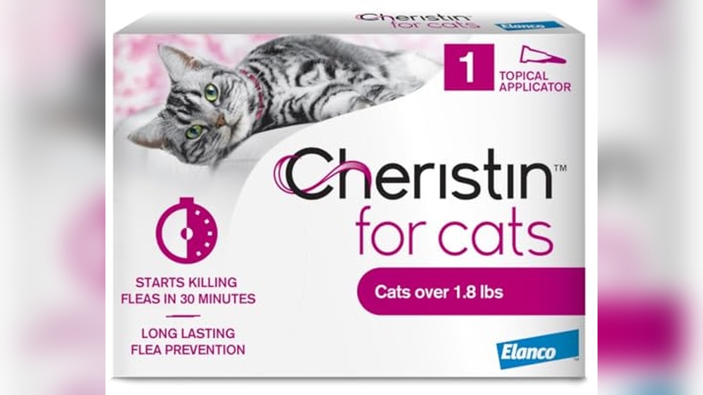 Best Non Prescription Flea Treatment for Cats: Top Effective Solutions Reviewed