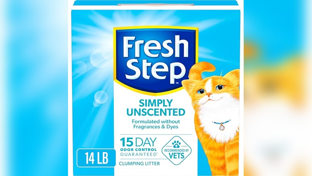 Best Odor Free Cat Litter for Ultimate Freshness and Long-Lasting Control