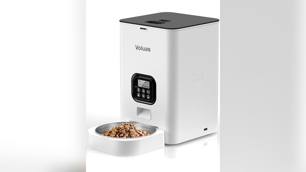 Best Outdoor Automatic Cat Feeder for Convenient Timed Pet Feeding