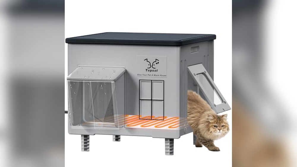 Best Outdoor Cat House for Cold Weather: Durable, Heated & Waterproof Shelter