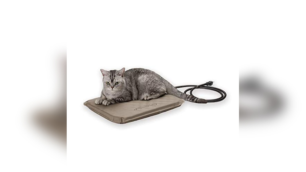 Best Outdoor Heated Cat Bed for Cozy Warmth and Ultimate Comfort