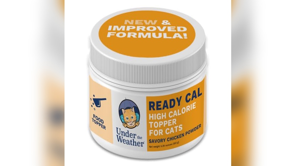 Best Over the Counter Cat Appetite Stimulant for Healthy Weight Gain