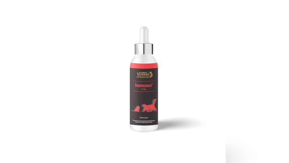 Best Over the Counter Cat Uti Medicine for Fast Relief and Health