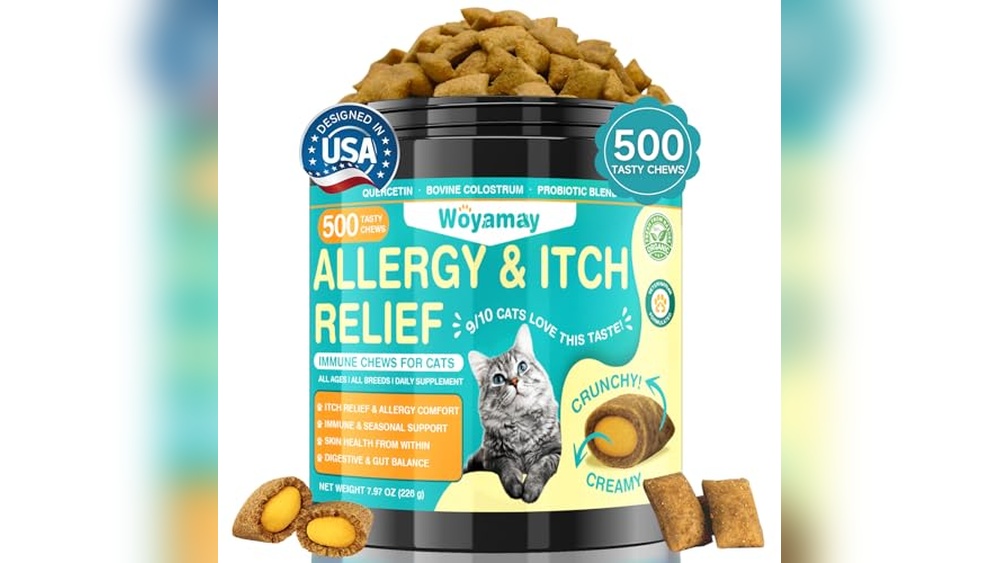 Best Over the Counter for Cat Allergies: Top Effective Relief Chews