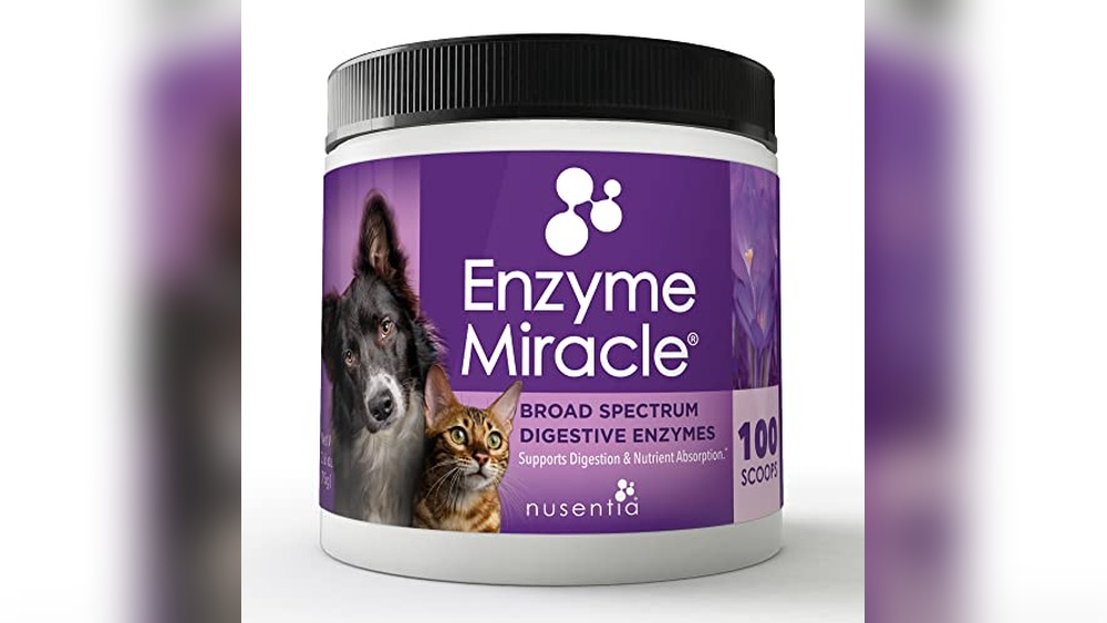 Best Pancreatic Enzymes for Cats to Boost Digestion and Health