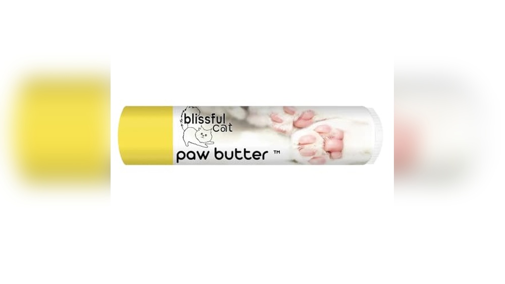Best Paw Balm for Cats: Top Moisturizers for Healthy, Soft Paws