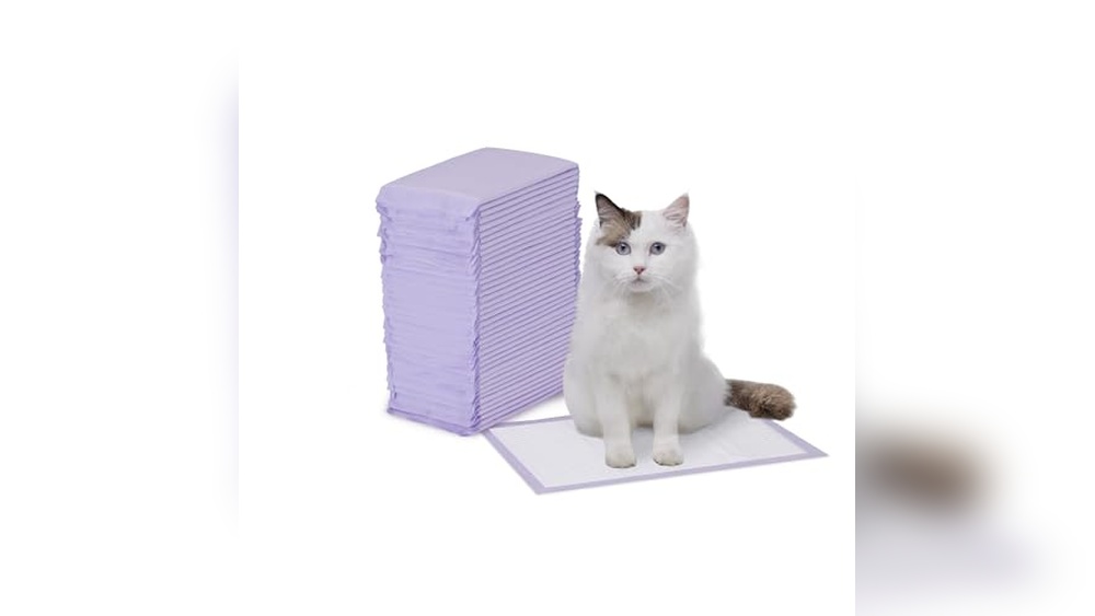 Best Pee Pads for Cats: Top Absorbent and Odor-Control Solutions