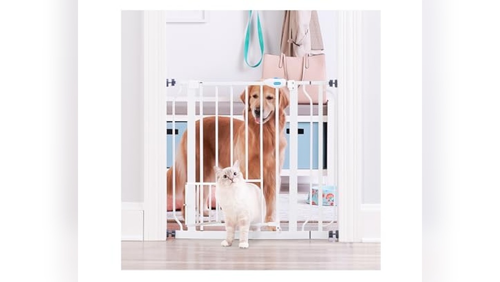 Best Pet Gate for Cats: Top Picks for Safety and Convenience