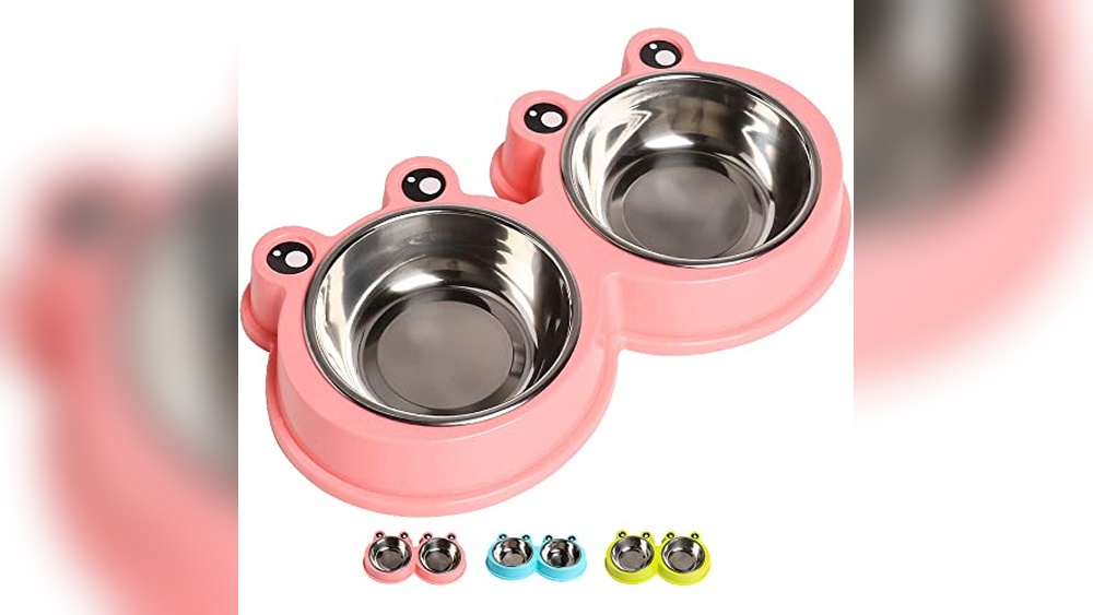 Best Pet Insurance for Older Cats: Top Plans for Senior Feline Care