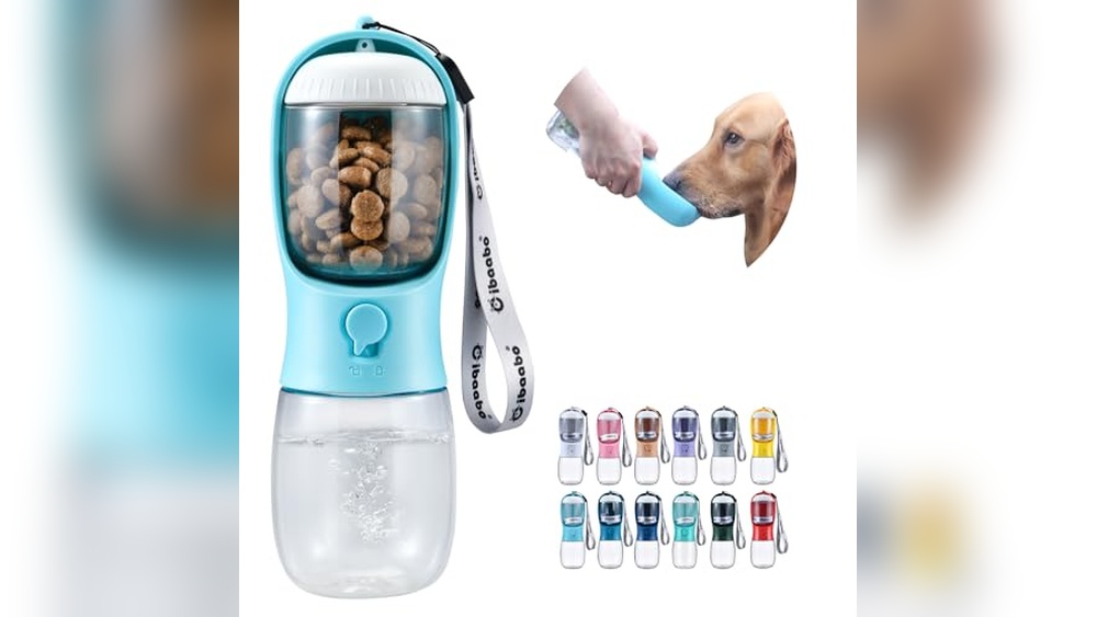 Best Pet Travel Essentials for Cats And Dogs: Top Picks for Adventures