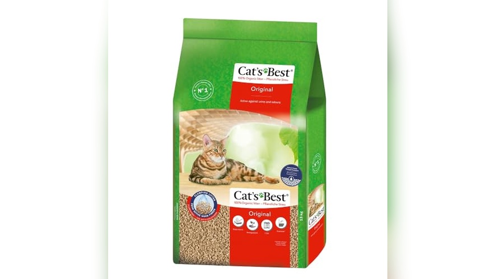Best Place to Buy Cat Litter in Bulk for Maximum Odor Control