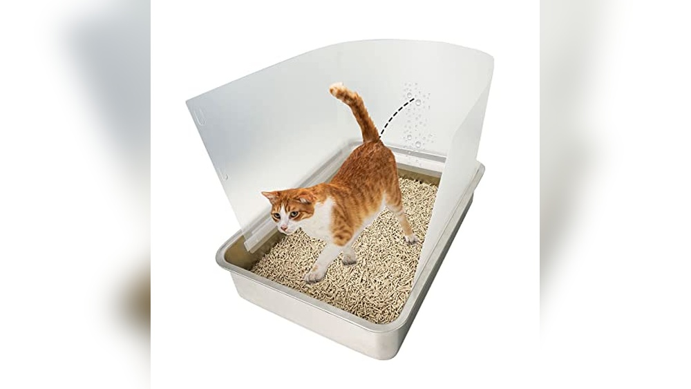 Best Place to Put Cat Litter Box for Clean and Mess-Free Homes