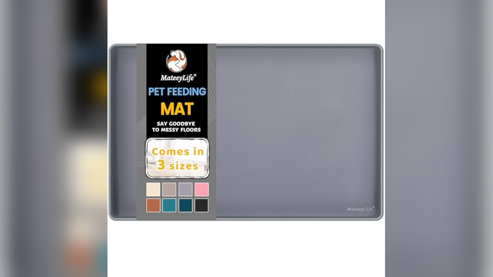 Best Places to Pet Cats: Top Spots for Happy, Relaxed Felines