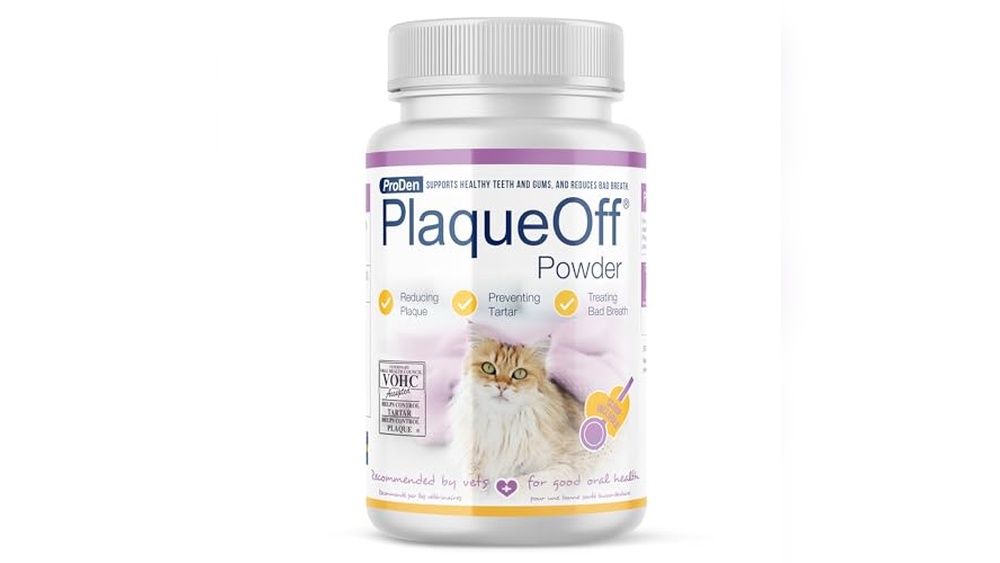 Best Plaque Remover for Cats: Top Solutions for Healthy Teeth