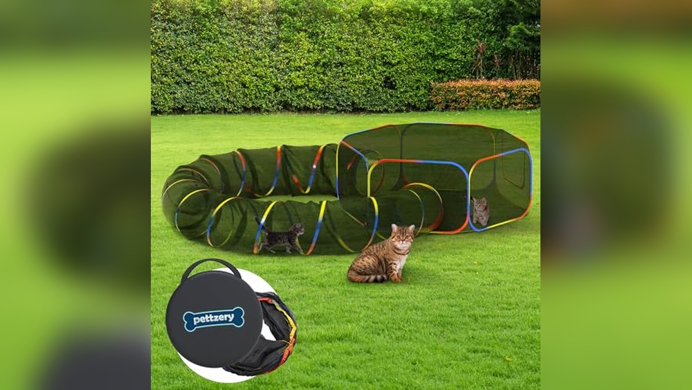 Best Portable Outdoor Cat Enclosures for Safe and Fun Cat Adventures