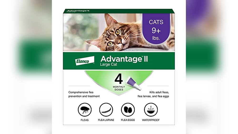 Best Prescription Flea Medicine for Cats: Top Vet-Recommended Treatments