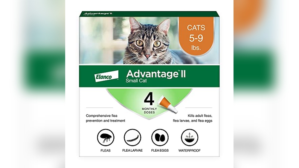 Best Price Advantage for Cats: Top Flea Treatments and Food Deals
