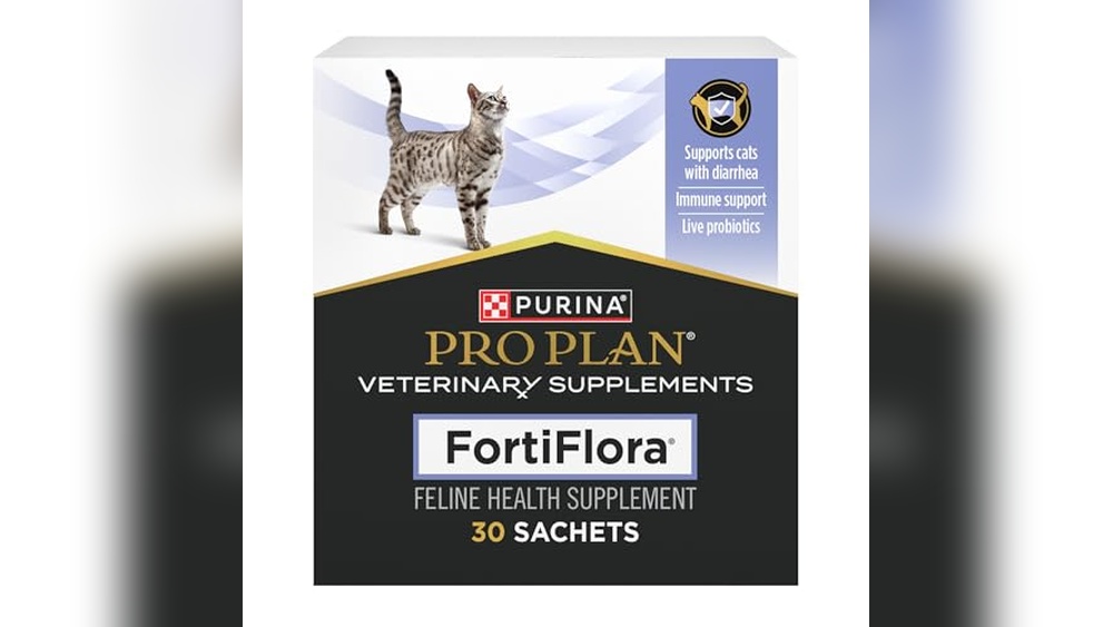 Best Probiotic for Cats With Diarrhea: Top Supplements for Digestive Health