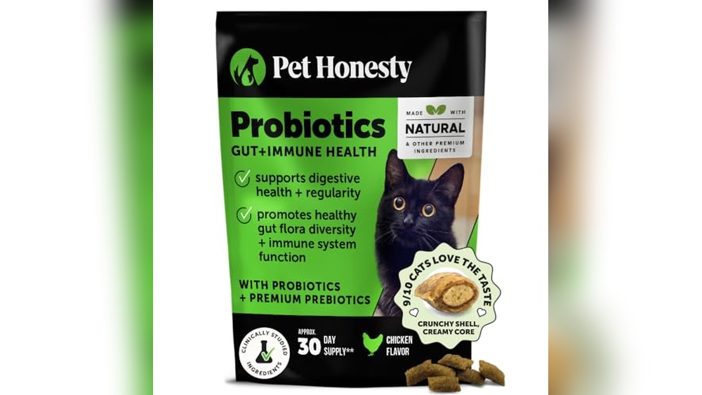 Best Probiotics for Cats With Constipation