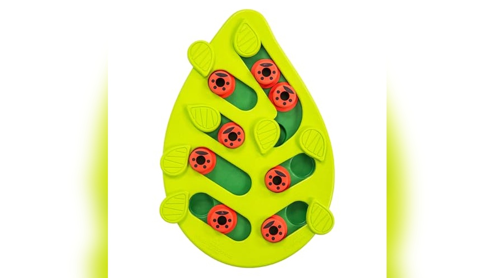 Best Puzzle Toys for Cats to Boost Playtime and Mental Stimulation