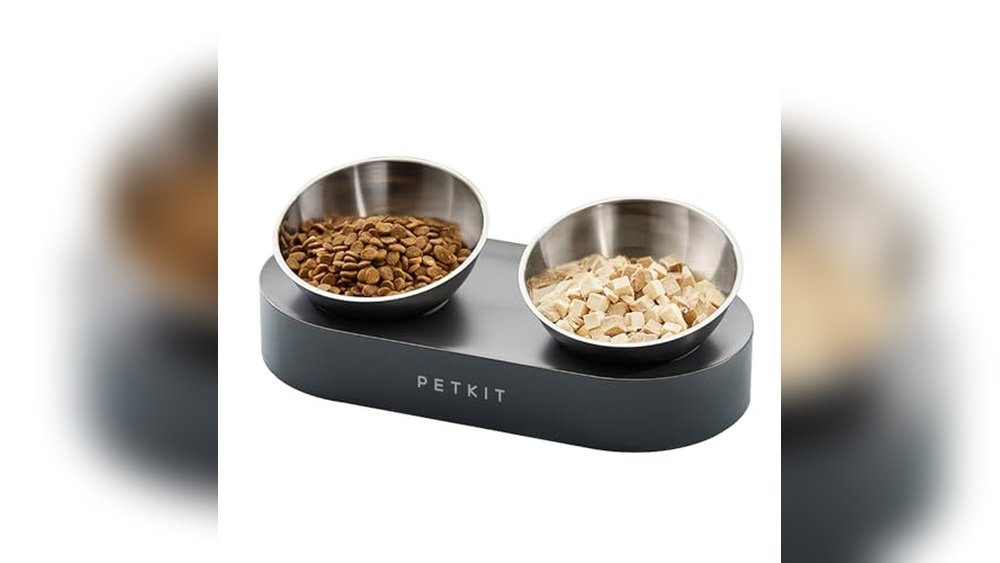 Best Raised Cat Food Bowls for Comfortable and Healthy Feeding