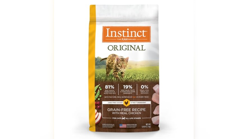 Best Raw Cat Food Brands for High-Protein, Grain-Free Nutrition
