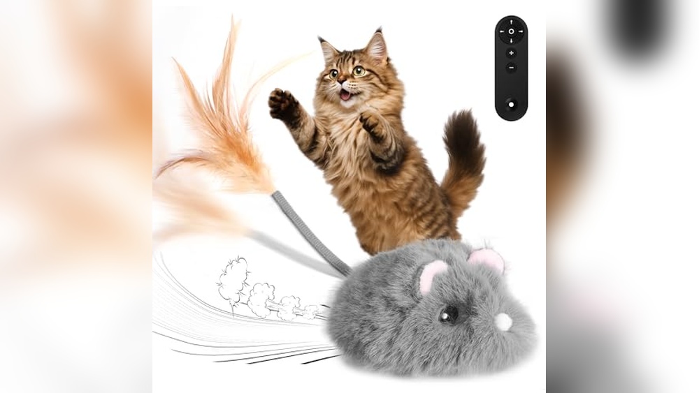 Best Remote Control Mouse for Cats: Top Interactive Toys for Indoor Fun
