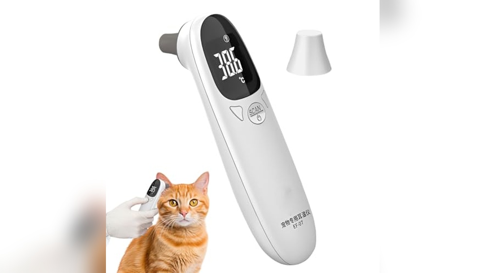 Best Room Temperature for Cats: Ensuring Comfort with Pet Heating Pads