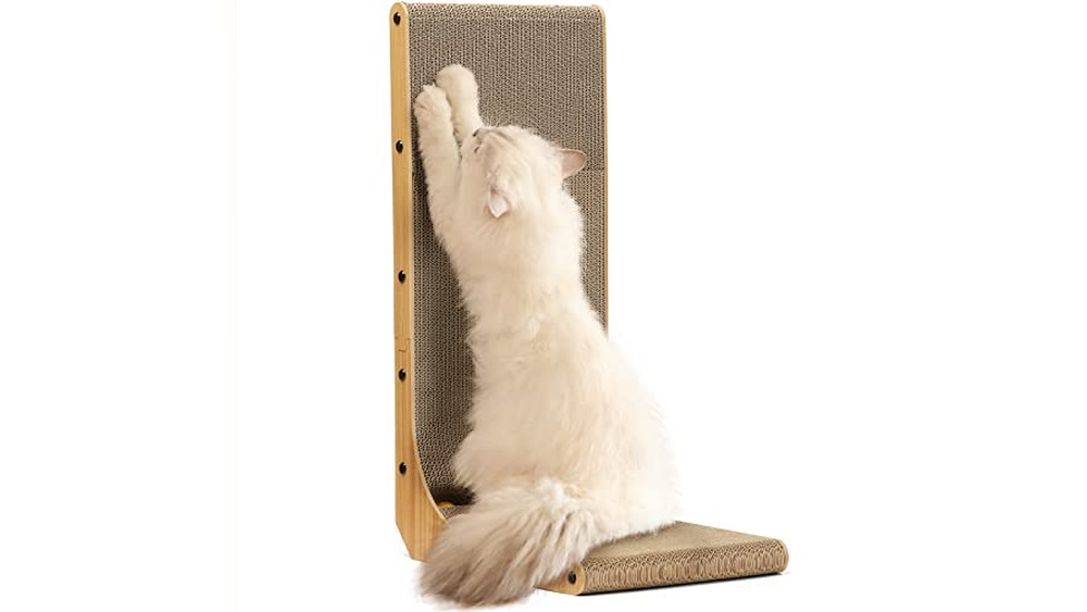 Best Scratch Pad for Cats