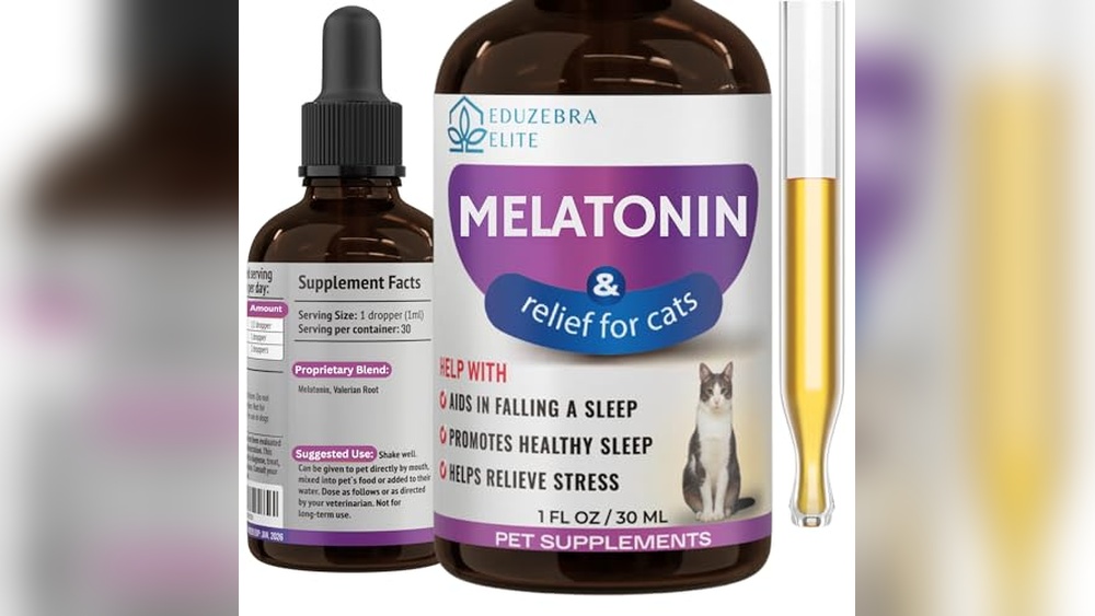 Best Sedative for Cats for Travel: Top Calming Aids for Stress Relief