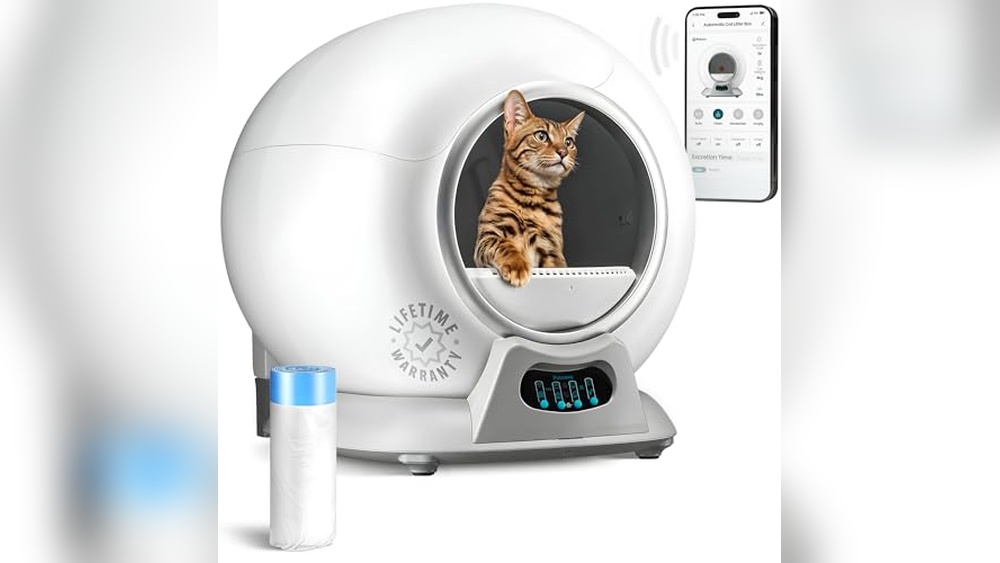 Best Self Cleaning Litter Box Multiple Cats: Top Automatic Cat Solutions
