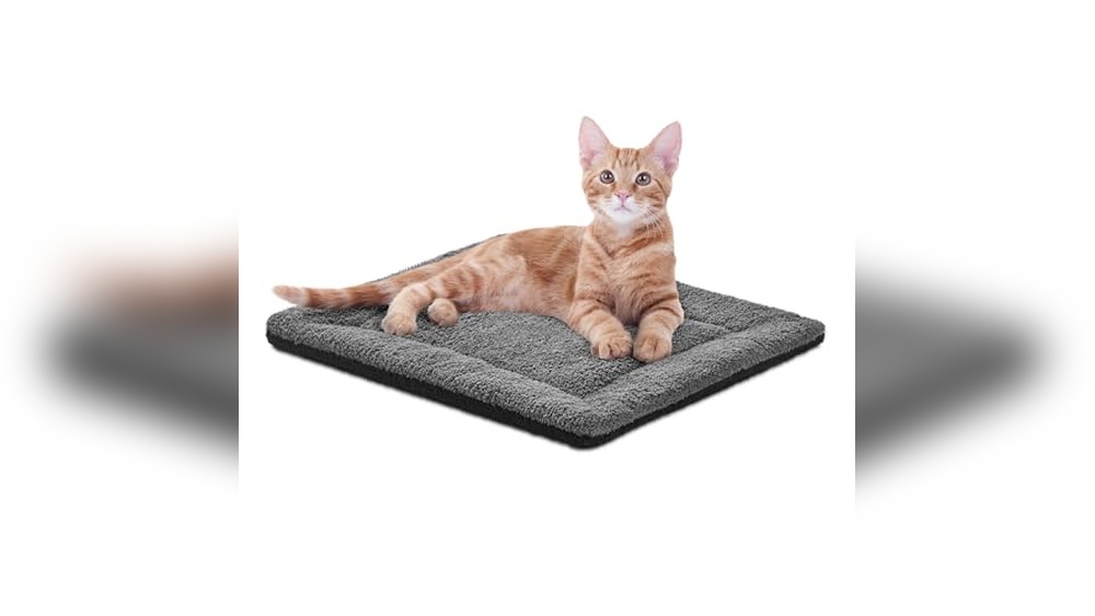 Best Self Heated Cat Bed for Ultimate Warmth and Cozy Comfort