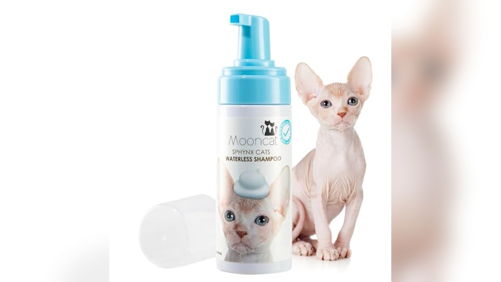 Best Shampoo for Sphynx Cats: Gentle, Hypoallergenic, and Vet Approved Choices