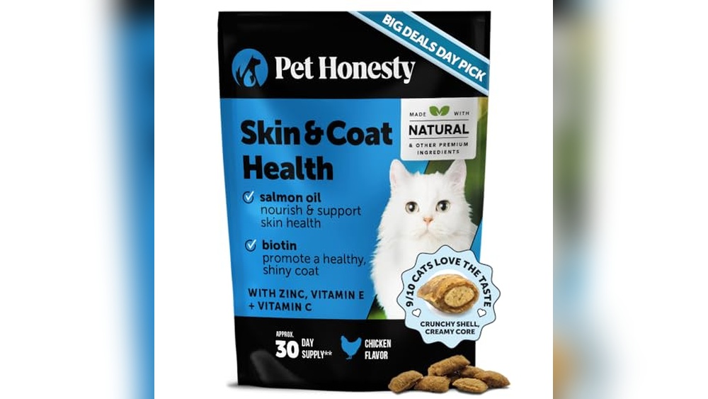 Best Skin And Coat Supplement for Cats: Top Choices for Shiny Fur