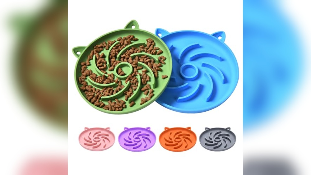 Best Slow Feeder Cat Bowl for Healthy and Happy Mealtime Solutions
