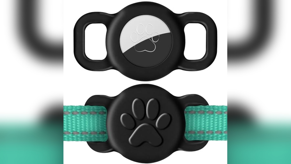 Best Small Dogs for Cats: Top Compatible Pets and Essential Accessories