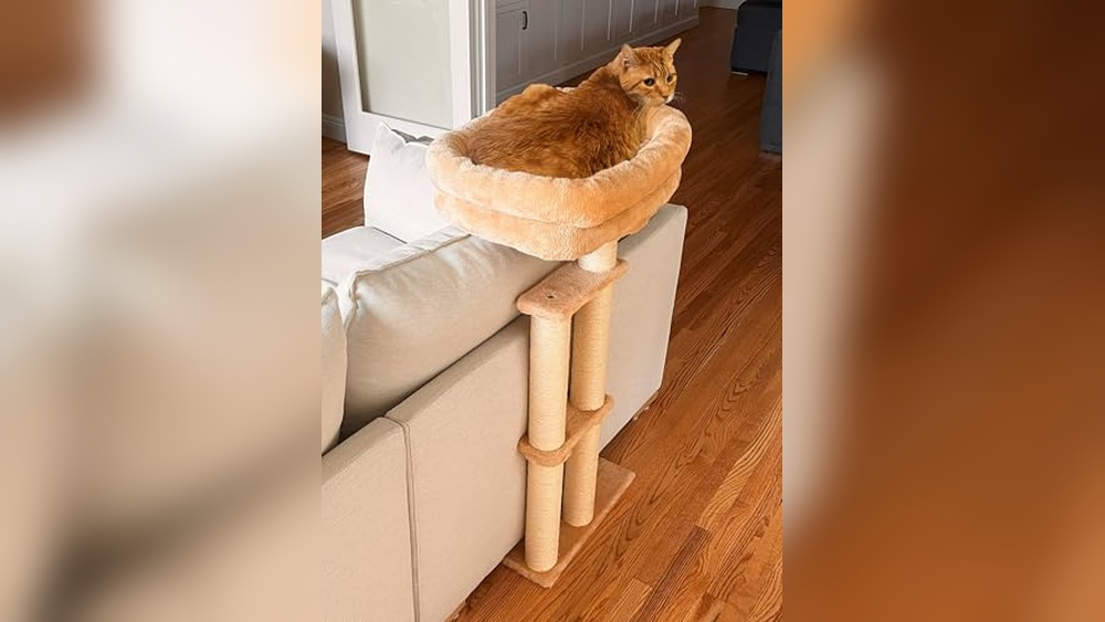 Best Sofa for Cats With Claws: Ultimate Scratch-Resistant Couch Protectors