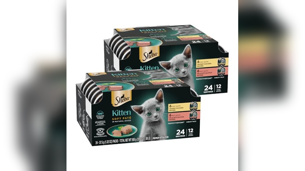 Best Soft Cat Food for Kittens: Top Healthy Wet Food Picks