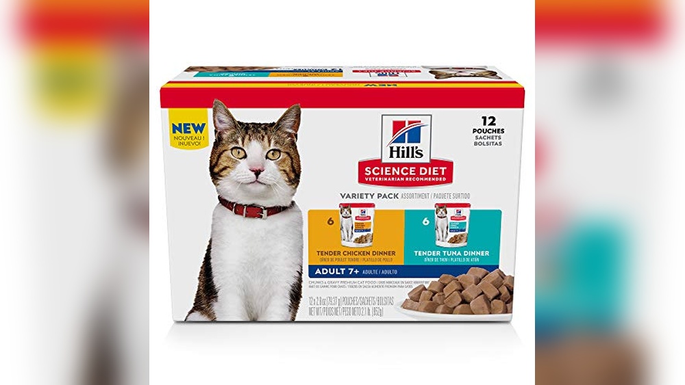 Best Soft Food for Senior Cats: Top Nutritious Wet Food Picks