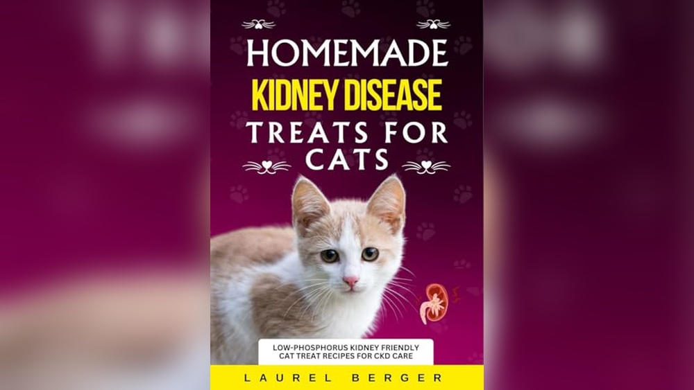 Best Soft Treats for Cats: Top Kidney-Friendly and Tasty Options