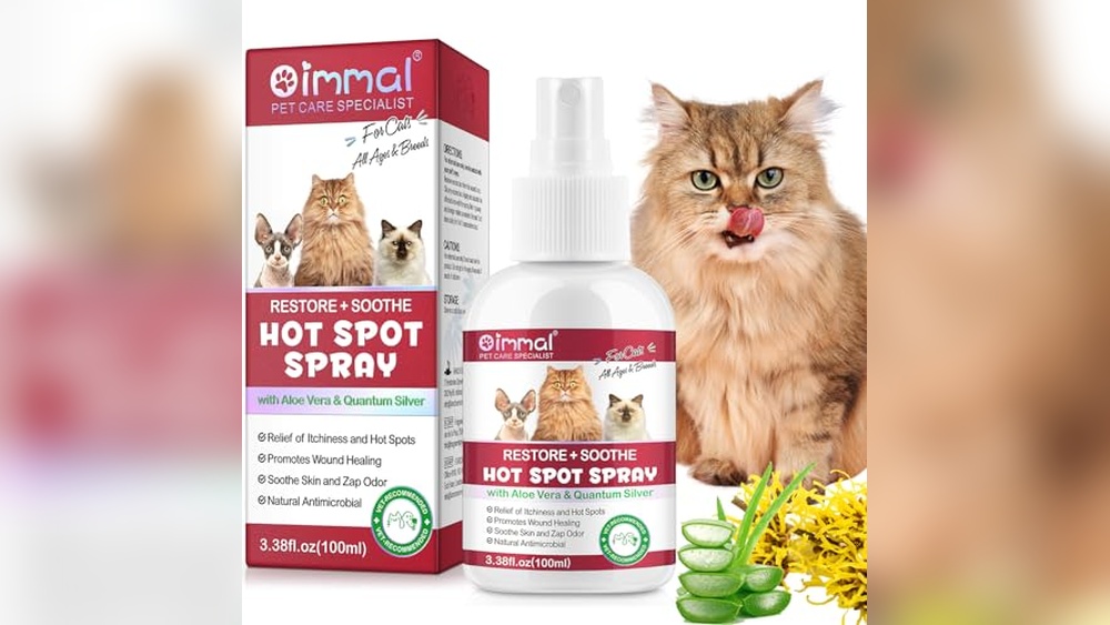 Best Spots to Pet a Cat for Ultimate Comfort and Skin Relief