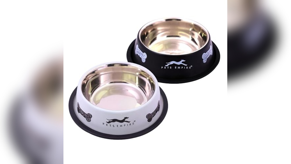 Best Stainless Steel Cat Bowls