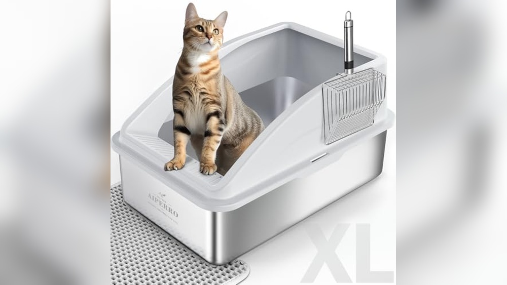 Best Stainless Steel Cat Litter Box for Large and Small Cats
