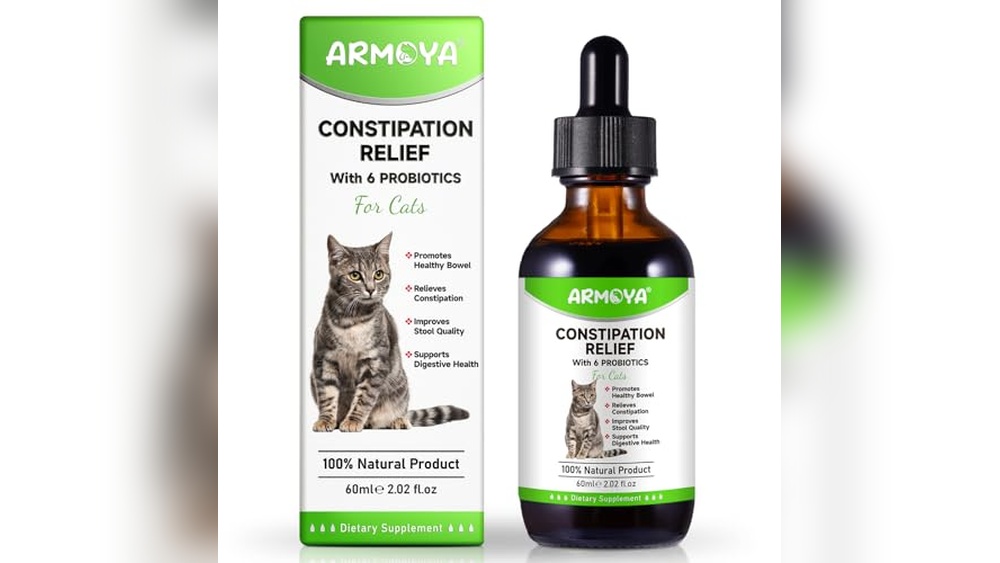 Best Stool Softener for Cats: Top Natural Remedies for Constipation Relief