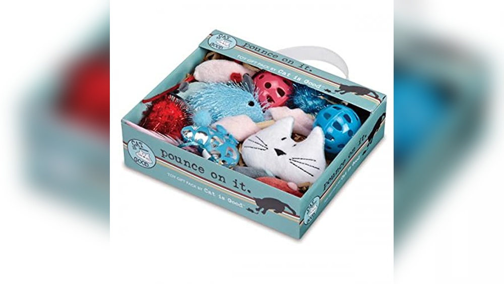 Best Subscription Boxes for Cats to Keep Your Feline Entertained and Organized