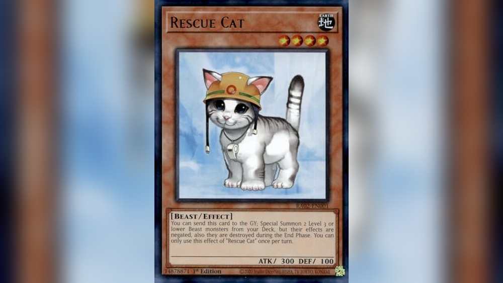 Best Super Rare Cats Battle Cats: Top Collectibles and Plushies Reviewed