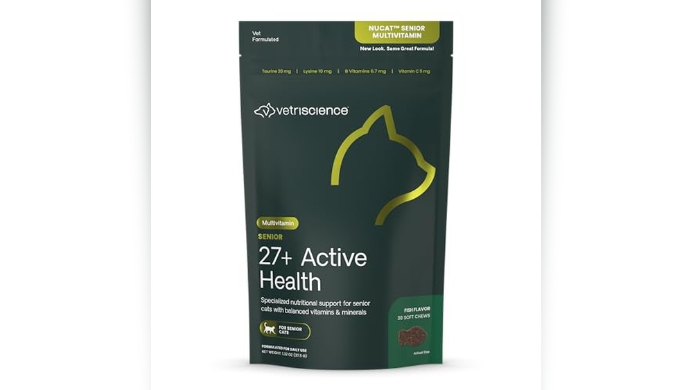 Best Supplements for Senior Cats to Boost Health and Vitality