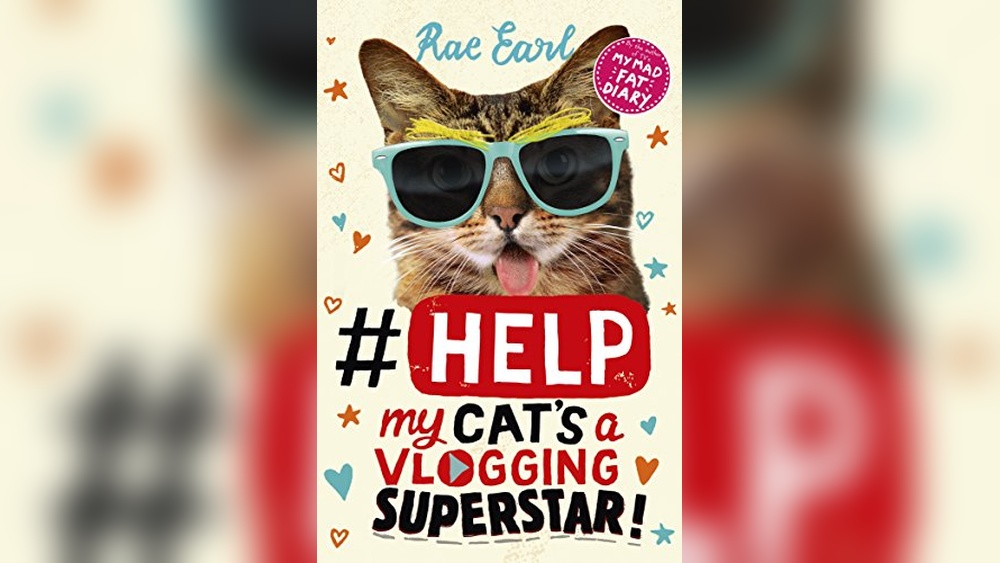 Best Tags for Cats on Instagram to Boost Your Feline&rsquo;s Fame