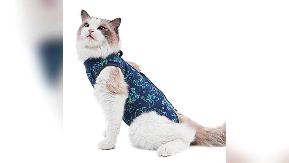 Best Time to Neuter Cat: Essential Tips for Post-Surgery Recovery Suits